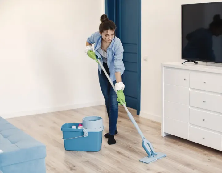 Femme de ménage Blauvac